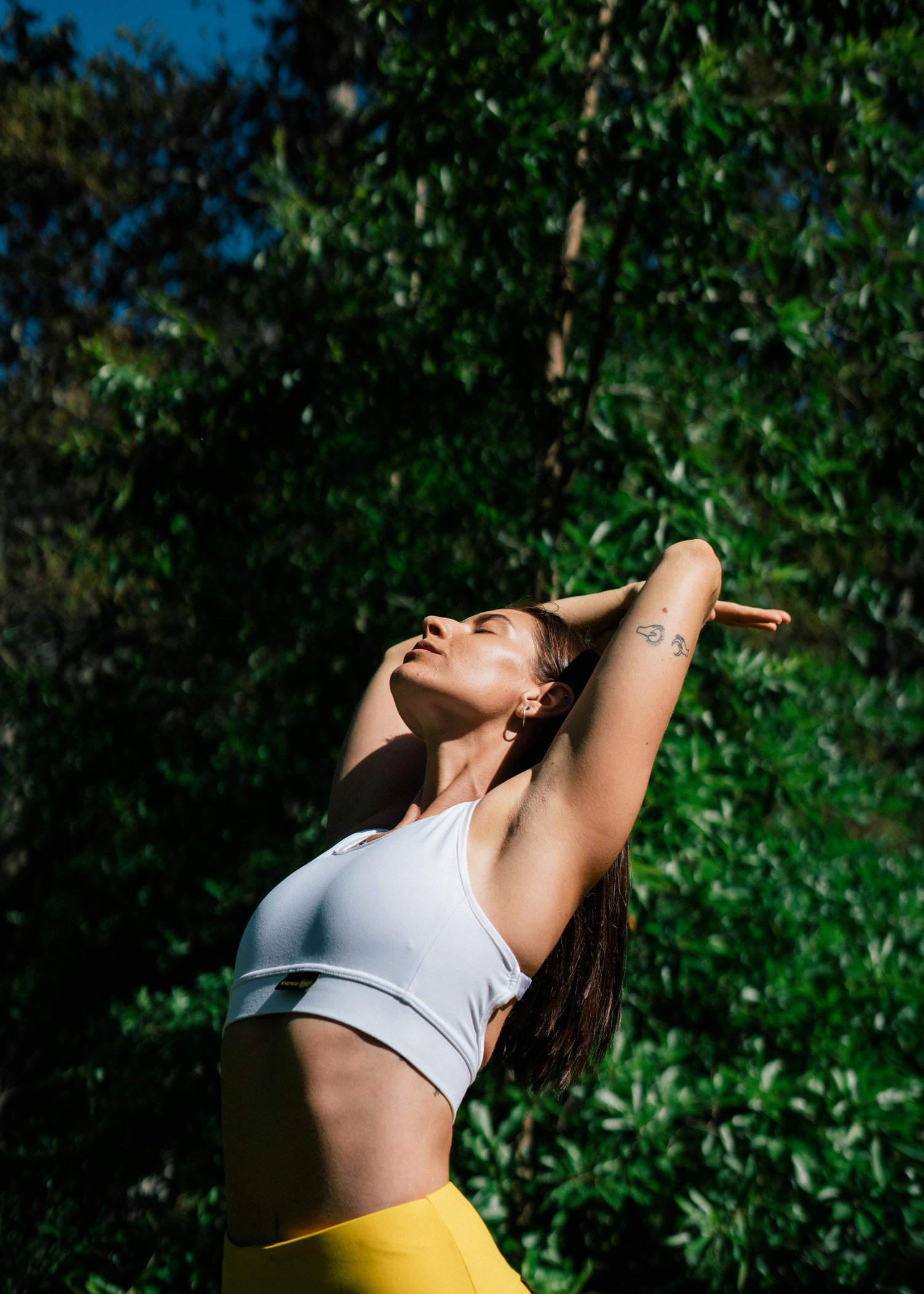 Wellness & Workout